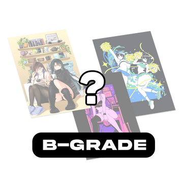 MYSTERY B-GRADE 3-PRINT Bundle